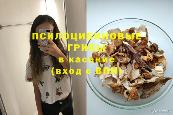 шишки Кизел