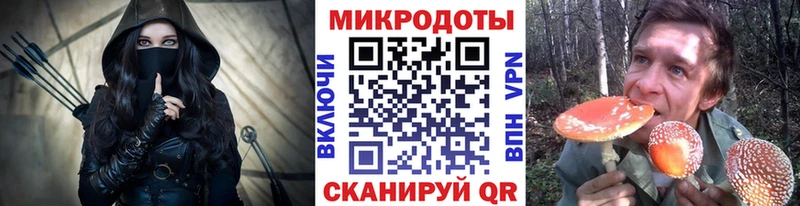 Псилоцибиновые грибы мухоморы Кудрово