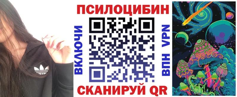 Галлюциногенные грибы MAGIC MUSHROOMS  купить закладку  Кудрово 
