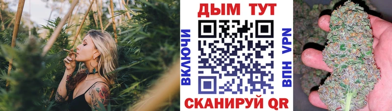 МАРИХУАНА ГИДРОПОН  Кудрово 